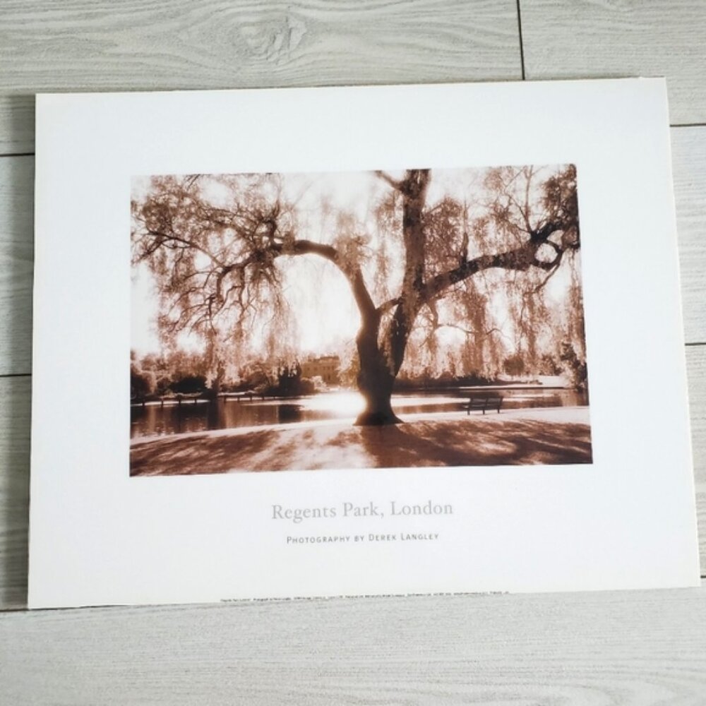 Regents Park London by Derek Langley Wood Print Plaque Photography
